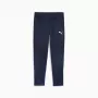 Vyrų sportinės kelnės Puma Team Goal Training tamsiai mėlynos 658639 06 M