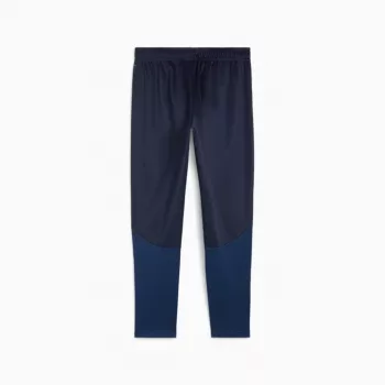 Vyrų sportinės kelnės Puma Team Goal Training tamsiai mėlynos 658639 06 M