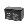 VIPOW gelinis akumuliatorius 12V 100Ah