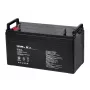 VIPOW gelinis akumuliatorius 12V 120Ah