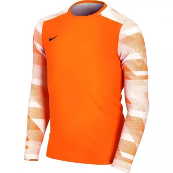 Nike Dry Park IV JSY LS GK jaunimo vartininko džemperis oranžinis CJ6072 819 XS