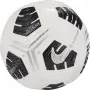 Nike Club Elite Team futbolo kamuolys baltas-juodas-sidabrinis CU8053 100