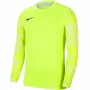 Nike Dry Park IV JSY LS GK Junior Lime vartininko džemperis CJ6072 702 XS