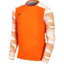 Nike Dry Park IV JSY LS GK jaunimo vartininko džemperis oranžinis CJ6072 819