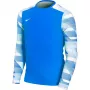 Nike Dry Park IV JSY LS GK Junior vartininko džemperis Royal Blue CJ6072 463 XL