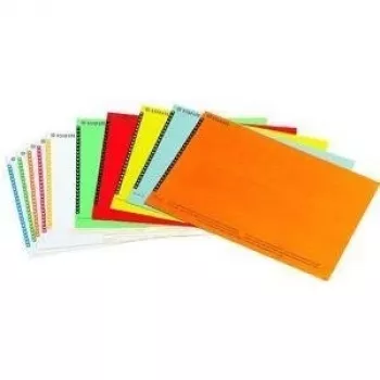 LEITZ Esselte pakabinamų bylų etiketės spintelėms, baltos, 60 x 12 mm, 100 etikečių (326400)