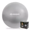 SCHILDKROT gimnastikos kamuolys 65 cm sidabrinis Anti-Burst 960156