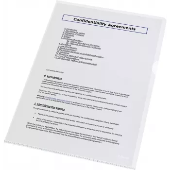 LEITZ Esselte Standard Plus perforuoti kišenė A4, 100 vnt., permatoma, polipropilenas 56218