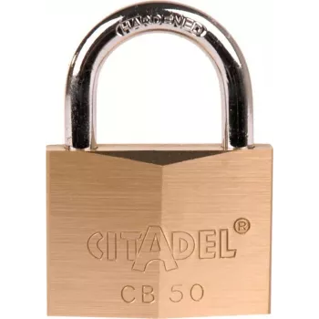 ABUS 50 mm kieto žalvario pakabinama spyna su grūdinto plieno lankeliu ir 2 rakteliais 238390