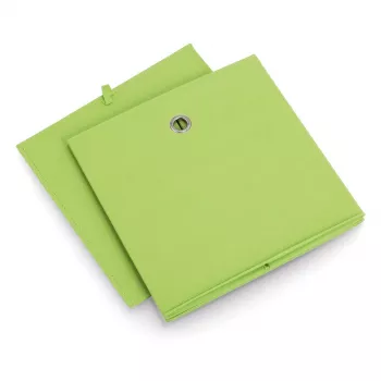 Zeller 14114 neaustinės medžiagos laikymo dėžė, 30 L, 32 x 32 x 32 cm, žalia