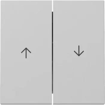 GIRA Rocker 3294015 2-fold Arrow System 55 pilkas matinis