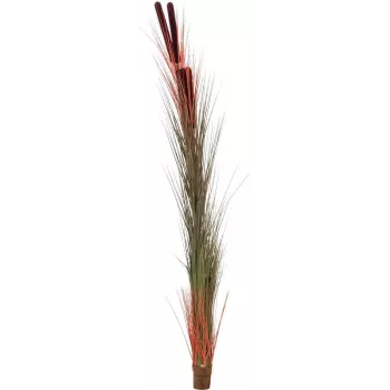 EUROPALMS Dirbtinė nendrių žolė su švendrais, šviesiai ruda, 152cm 82505856