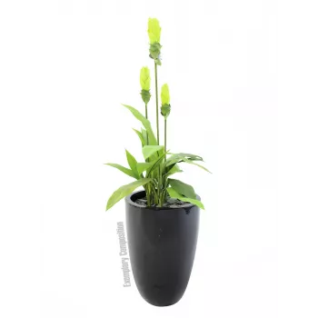 Europalms LEICHTSIN CUP-69 vazonas, juodas, blizgus (83011819)