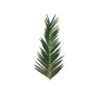 EUROPALMS Dirbtinė kokoso karališkosios palmės lapas, 150 cm 82509845