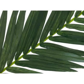 EUROPALMS Dirbtinė kokoso karališkosios palmės lapas, 150 cm 82509845