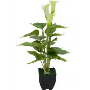 EUROPALMS Calla mini dirbtinis kalijų lelijos augalas, baltas, 43 cm 82540347