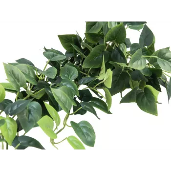 EUROPALMS Pothos krūmo širma Classic, dirbtinis, 100cm 82502203