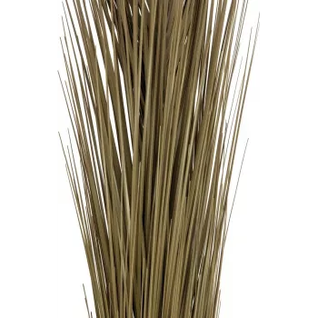 EUROPALMS Dirbtinė nendrinė žolė, chaki, 127 cm 82505853