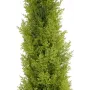 EUROPALMS Leyland Cypress dirbtinis augalas, 120 cm, žali lapai, juodas vazonas 82606964