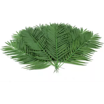 EUROPALMS dirbtinės kokospalmės lapijos, 90 cm, 12 vnt., žalios 82509896