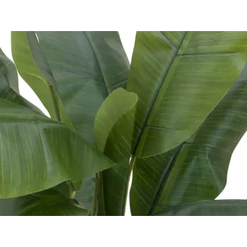 EUROPALMS Dirbtinis bananų medis, 120cm, tikroviški žali lapai, juodas vazonas 82509537