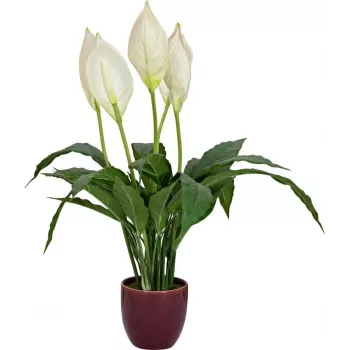 EUROPALMS dirbtinė taikos lelija, 60 cm 82505660