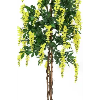 EUROPALMS dirbtinis auksinio lietaus medis, geltonas, 150cm 82507115