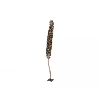 EUROPALMS Cacho Coco dirbtinė kokoso palmė, 120-190 cm, tikro medžio kamienas, 12 lapų, vidaus 83502349