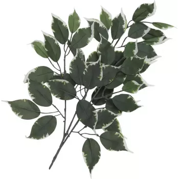 EUROPALMS dirbtinė fikuso šakelė, 12 vnt. pakuotė 82506100