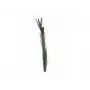 EUROPALMS dirbtinė nendrių žolė su šiurkščiaisiais švendrais, tamsiai žalia, 152cm 82505854