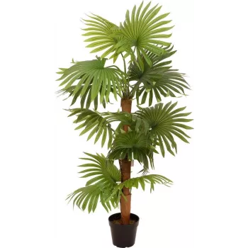 EUROPALMS dirbtinis vėduoklinis palmas 130cm 82509302