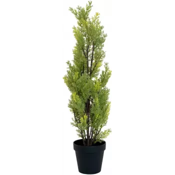 EUROPALMS Leyland Cypress dirbtinis augalas, 60cm 82606959