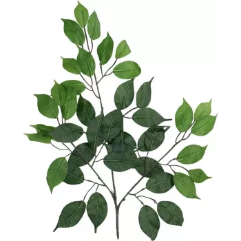EUROPALMS dirbtinė Ficus Benjamina šakelė, 12 vnt. pakuotė 82506101