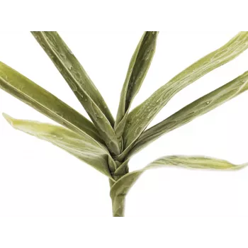 EUROPALMS dirbtinė jukos šakelė (EVA), žalia 82531063