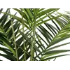 EUROPALMS Kentia palmė dirbtinis augalas 240cm 82511368
