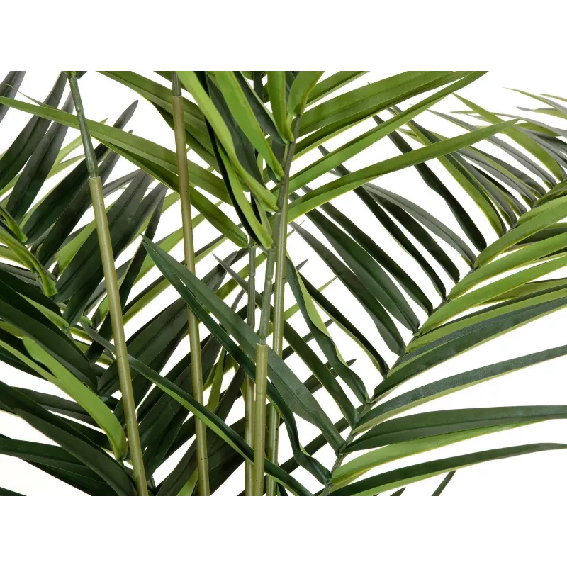 EUROPALMS Kentia palmė dirbtinis augalas 240cm 82511368