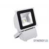 SYNERGY21 S21-LED-TOM01157 LED lauko objekto prožektorius 80W pilkas korpusas šaltai balta V3