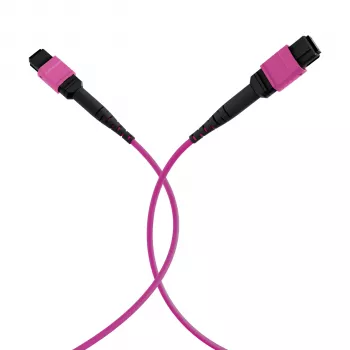 EFB Elektronik MPO-PLUS(F)-MPO-PLUS(F) OM4 12 pluoštų B tipo LSZH pataisymo kabelis, erika-violetinė, 20 m MPOF12MPOFOM4-20