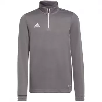adidas Entrada 22 treniruočių megztinis vaikams, pilkas, 152 cm, H57549