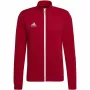 adidas Entrada 22 sportinis švarkas raudonas M H57537