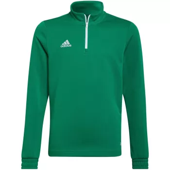 adidas Entrada 22 treniruočių viršutinė dalis vaikams žalia HI2132