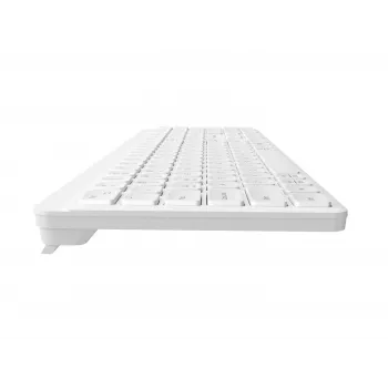 NATEC Tang US belaidė Bluetooth + 2.4 GHz tylioji plona klaviatūra, balta