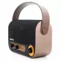 AIWA RBTU-600 nešiojamasis Bluetooth radijas su FM, USB, AUX-in, MicroSD, įkraunama baterija