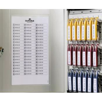 DURABLE KEY BOX 54 raktų spintelė su cilindrine spyna, šviesiai pilka, plieninė, montuojama ant sienos 195323