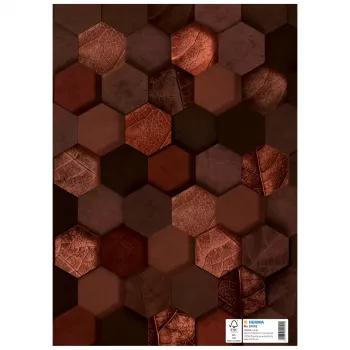 HERMA Heftschoner X, kartonas, DIN A4, rudas, su žymėjimo lauku, 10 vienetų (20092)