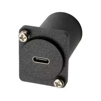 EXSYS EX-49172 D-Type adapteris USB-C moteriškas į DisplayPort moteriškas