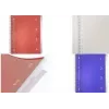 Kangaro College Block 4-in-1, DIN A4, 100 lapų, liniuotė, raudonas PP viršelis, 80 gsm popierius, 4 perkeliami skirtukai - 1 vnt. (K-58380)