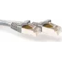 ACT pilkas 30m LSZH S/FTP CAT6A patch laidas su apsauginiais antgaliais (FB7030)