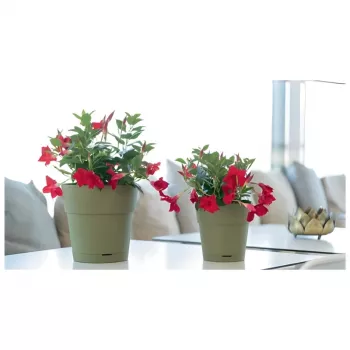 STEFANPLAST Vazonas su padėklu Ethica Ø40x39cm Žalias