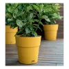 STEFANPLAST Ethica gėlių vazonas su padėklu Ø20x19cm Garstyčių geltonumo